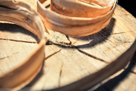 Stump of trees with rings of growth of a shiver are twisted from above. Concept of carpentry and home-makingの写真素材
