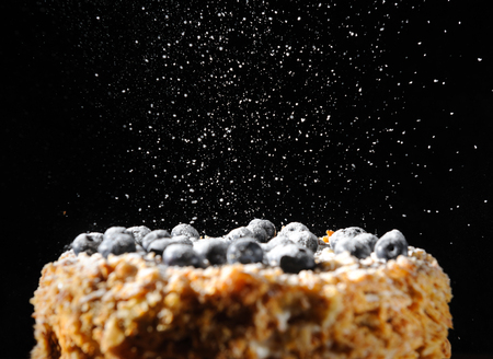 Napalion cake, pie, layered cake, puff cake with blueberry sprinkled with powdered sugar, menu...