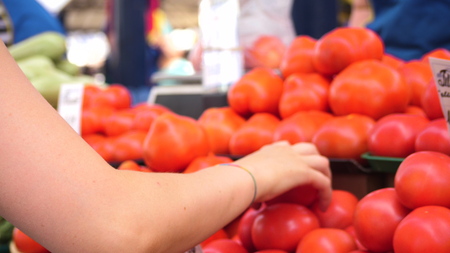 young beautiful woman choosing tomatoes on greenery counter in the city marketplace with an unrecognizable seller on the background, side view close up slow motion video in 4Kの写真素材