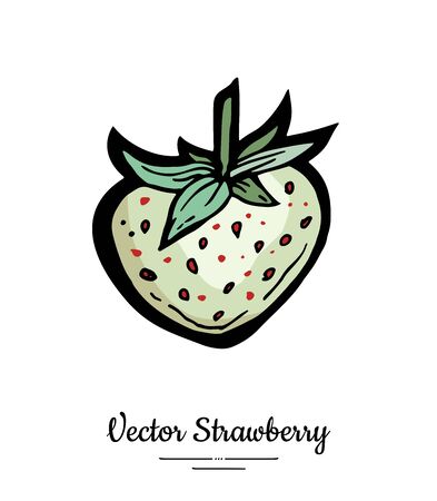 Strawberry vector isolated. White berry hand drawn illustration. Trendy food vegetarian menu, fruit icon. Whole strawberry, berry, leaves. Vector natural fruit illustration isolated, white background.のイラスト素材