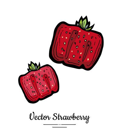Strawberry vector isolated. Red berries hand drawn illustration. Trendy food vegetarian menu fruit icon. Whole strawberry, berry, leaves. Vector natural fruits illustration isolated, white background.のイラスト素材