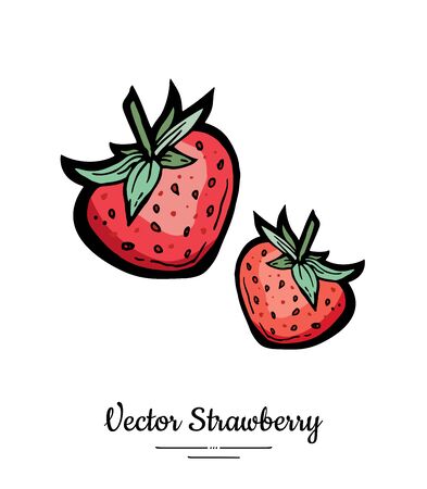 Strawberry vector isolated. Red berries hand drawn illustration. Trendy food vegetarian menu fruit icon. Whole strawberry, berry, leaves. Vector natural fruits illustration isolated, white background.のイラスト素材