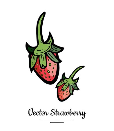 Strawberry vector isolated. Red berries hand drawn illustration. Trendy food vegetarian menu fruit icon. Whole strawberry, berry, leaves. Vector natural fruits illustration isolated, white background.のイラスト素材
