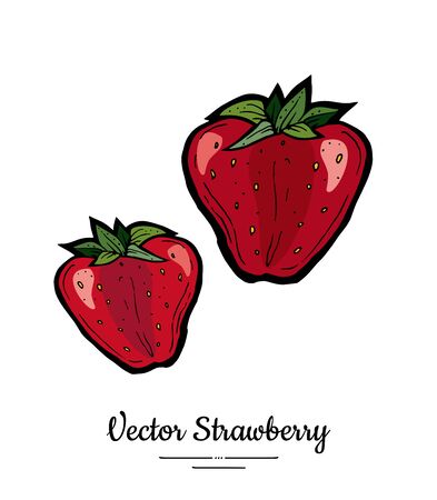 Strawberry vector isolated. Red berries hand drawn illustration. Trendy food vegetarian menu fruit icon. Whole strawberry, berry, leaves. Vector natural fruits illustration isolated, white background.のイラスト素材