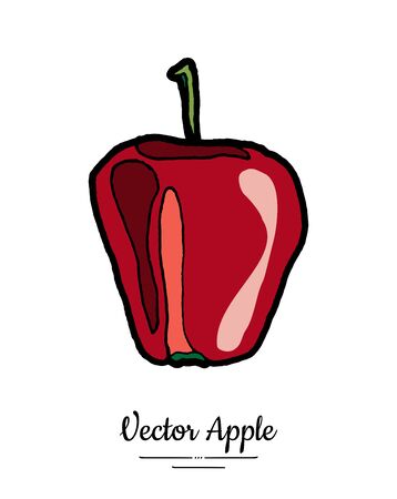 Apple vector isolated. Red fruit hand drawn illustration. Trendy food vegetarian menu, fruit  , icon. Whole apple. Sweet organic fruits illustration. Vector natural apple isolated, white backgroundのイラスト素材