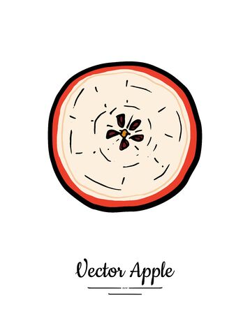 Apple vector isolated. Red fruit hand drawn illustration. Trendy food vegetarian menu fruit  , icon. Half cut apple. Sweet organic fruit illustration. Vector natural apple isolated white backgroundのイラスト素材