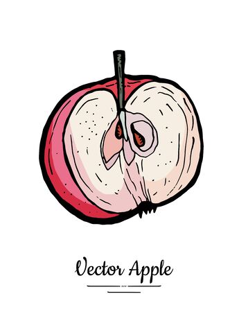 Apple vector isolated. Red fruit hand drawn illustration. Trendy food vegetarian menu fruit  , icon. Half cut apple. Sweet organic fruit illustration. Vector natural apple isolated white backgroundのイラスト素材