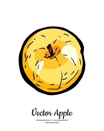 Golden apple vector isolated. Yellow fruit hand drawn illustration. Trendy food vegetarian menu   icon. Whole apple. Sweet organic fruit illustration. Vector natural apple isolated white backgroundのイラスト素材