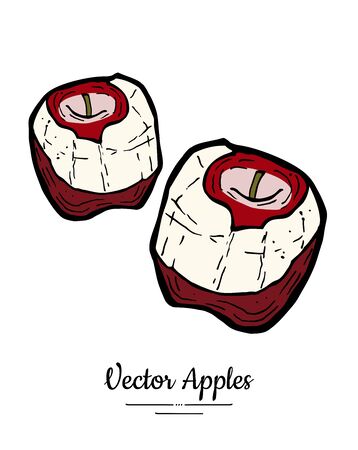 Apples vector isolated. Red peeled fruit hand drawn illustration. Trendy food vegetarian menu fruit   icon. Whole apples. Sweet organic fruits illustration. Natural apple isolated white backgroundのイラスト素材