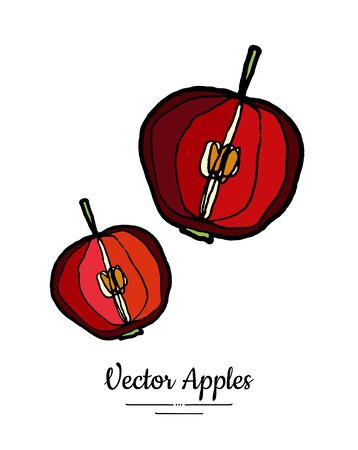 Apples vector isolated. Red fruits hand drawn illustration. Trendy food vegetarian menu fruit   icon. Whole apples. Sweet organic fruits illustration. Vector natural apple isolated white backgroundのイラスト素材