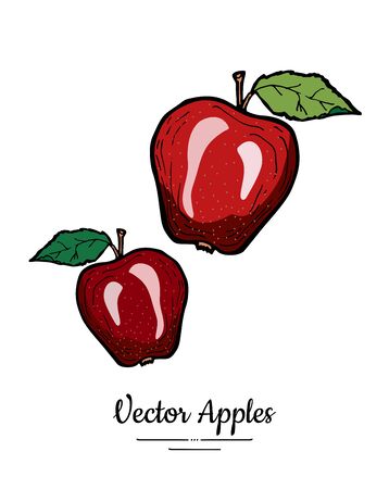 Apples vector isolated. Red fruits hand drawn illustration. Trendy food vegetarian menu fruit   icon. Whole apples green leaves. Organic fruit illustration. Natural apple isolated white background.のイラスト素材