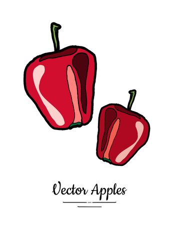 Apples vector isolated. Red fruits hand drawn illustration. Trendy food vegetarian menu fruit   icon. Whole apples. Sweet organic fruits illustration. Vector natural apple isolated white backgroundのイラスト素材