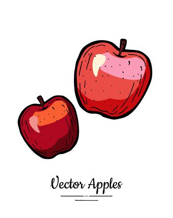 Apples vector isolated. Red fruits hand drawn illustration. Trendy food vegetarian menu fruit   icon. Whole apples. Sweet organic fruits illustration. Vector natural apple isolated white backgroundのイラスト素材