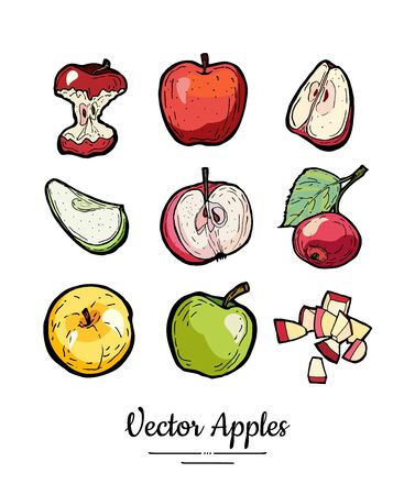 Apples vector isolated set. Red green yellow fruits hand drawn illustration. Trendy food vegetarian menu fruit   icons. Sweet organic fruits illustration. Whole, chopped apples leaves. Vector appleのイラスト素材