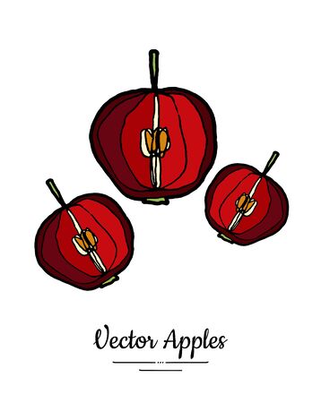 Apples vector isolated. Red fruits hand drawn illustration. Trendy food vegetarian menu fruit   icon. Whole apples. Sweet organic fruits illustration. Vector natural apple isolated white backgroundのイラスト素材