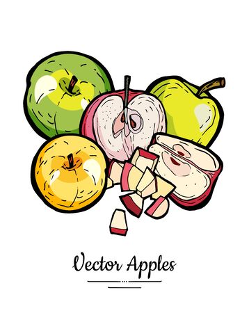 Apples vector isolated set. Red green yellow fruits hand drawn illustration. Trendy food vegetarian menu fruit   icons. Sweet organic fruits illustration. Whole, chopped apples leaves. Vector appleのイラスト素材
