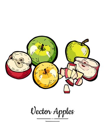 Apples vector isolated set. Red green yellow fruits hand drawn illustration. Trendy food vegetarian menu fruit   icons. Sweet organic fruits illustration. Whole, chopped apples leaves. Vector appleのイラスト素材
