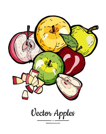 Apples vector isolated set. Red green yellow fruits hand drawn illustration. Trendy food vegetarian menu fruit   icons. Sweet organic fruits illustration. Whole, chopped apples leaves. Vector appleのイラスト素材