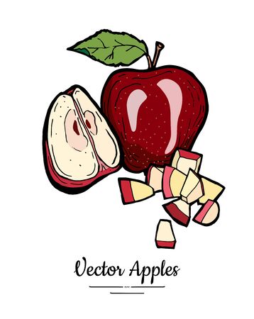 Apples vector isolated set. Whole quarter cut chopped apples. Red fruit hand drawn illustration. Trendy food vegetarian menu fruit  . Sweet organic fruit illustration. Vector apple white backgroundのイラスト素材
