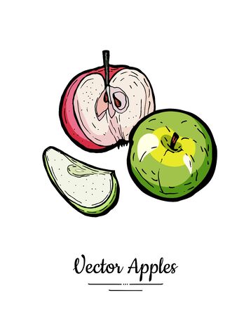 Apples vector isolated. Whole half cut apples. Yellow green red fruits hand drawn illustration. Trendy food vegetarian  . Sweet organic fruit illustration. Natural apples isolated white backgroundのイラスト素材