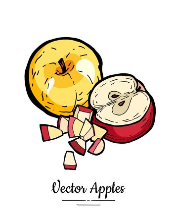 Apples vector isolated set. Whole, half cut, chopped apples. Red yellow fruit hand drawn illustration. Trendy food vegetarian menu fruitのイラスト素材