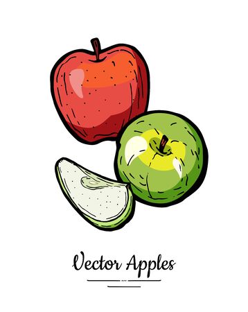 Apples vector isolated. Whole cut apples. Red green fruits hand drawn illustration. Trendy food vegetarian menuのイラスト素材