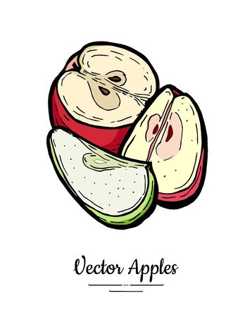 Apples vector isolated set. Half quarter cut chopped apples. Red green fruit hand drawn illustration. Trendy food vegetarian menuのイラスト素材