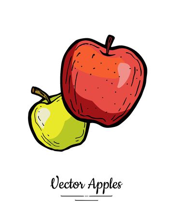 Apples vector isolated. Whole apples. Red green yellow fruits hand drawn illustration. Trendy food vegetarian menuのイラスト素材