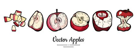 Apples vector isolated set. Half quarter cut chopped apples core. Red fruit hand drawn illustration. Trendy food vegetarian fruitのイラスト素材