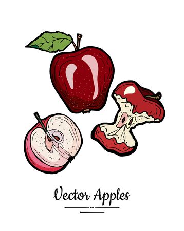 Apples vector isolated set. Whole half cut apples core leaf. Red fruit hand drawn illustration. Trendy food vegetarian menu fruitのイラスト素材