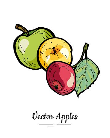 Apples vector isolated. Whole apples with leaf. Yellow green red fruits hand drawn illustration. Trendy food vegetarianのイラスト素材