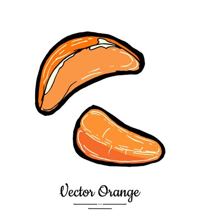 Mandarin half round slices. Oranges vector isolated. Fruit tangerine hand drawn. Sweet mandarin citrus food vegetarianのイラスト素材