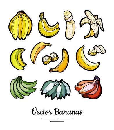 Bananas set vector isolated. Whole chopped banana slices bunch. Yellow green red fruits collection hand drawn. Food vegetarian logo icons sketch ink style. Fruit bananas illustration white backgroundのイラスト素材