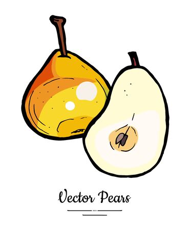 Pears fruits vector isolate. Pear whole chopped half cut slice. Fruit hand drawn illustration. Trendy food vegetarian sweet fruit icon logo sketch style. Red yellow pear illustration white backgroundのイラスト素材