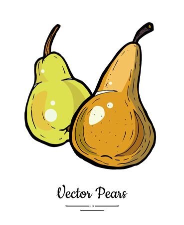 Pears fruits vector isolate. Green brown whole pear fruit hand drawn illustration. Trendy food vegetarian sweet ripe fruit icon logo sketch line art style. Pear illustration isolated white backgroundのイラスト素材