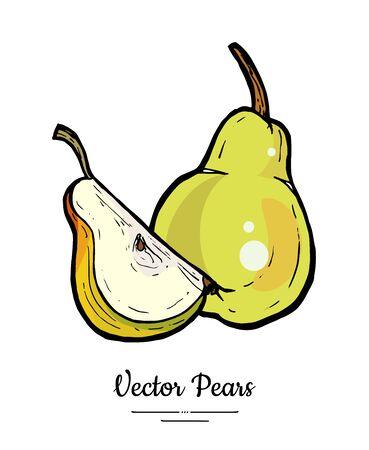 Pears fruits vector isolate. Pear whole chopped quarter slice. Fruit hand drawn illustration. Trendy food vegetarian sweet fruit icon logo sketch style Green yellow pear illustration white backgroundのイラスト素材