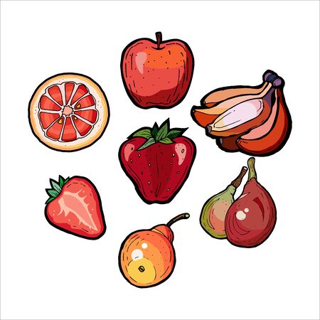 Red fruits vector set isolated on whiteのイラスト素材