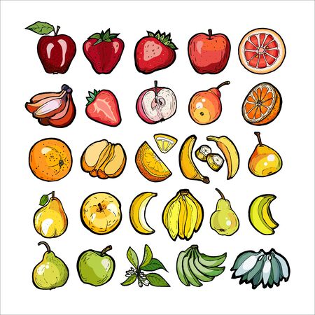 Rainbow fruits vector set isolated on whiteのイラスト素材