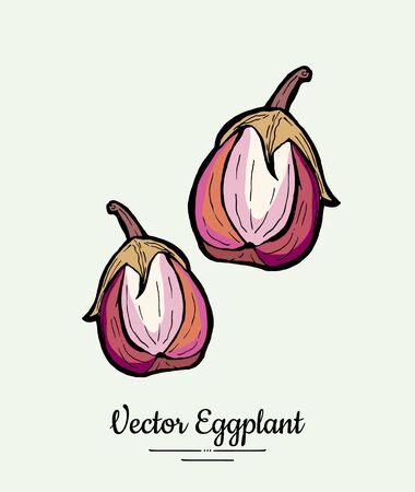 Eggplant vegetable groceries vintage vector. Hand drawn isolated fresh pink aubergine. Food line hand drawn illustration. Eggplant vegetarian poster, restaurant menu,  icon, sticker, farm shop.のイラスト素材