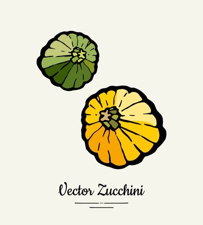 Pattypan squash hand drawn illustration. Hipster illustration of squash. Isolated green zucchini for vegetarian poster, cooking school, restaurant menu, banner,  icon, foodshop, harvest festival.のイラスト素材