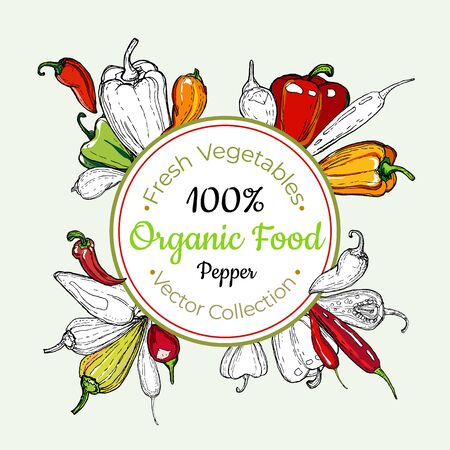 Sweet pepper vegetable groceries vintage vector sticker, poster, label template. Hipster fresh food line hand drawn illustration. Sweet pepper isolated vegetables, vegetarian poster, restaurant menu.のイラスト素材