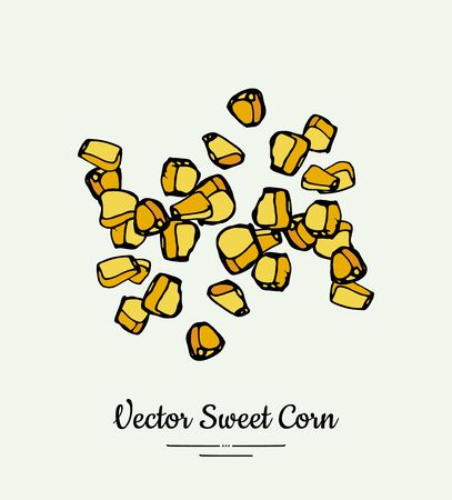 Sweet corn, kernels, maize isolated groceries vector. Fresh food line hand drawn illustration.のイラスト素材