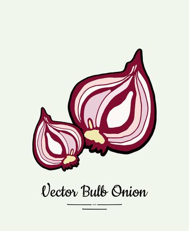 Cutted bulb red onion hand drawn vector illustration. Modern line ink vegetable onion halves illustration.のイラスト素材