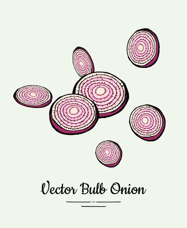 Cutted bulb red onion rings hand drawn vector illustration. Modern line ink vegetable onion illustration.のイラスト素材