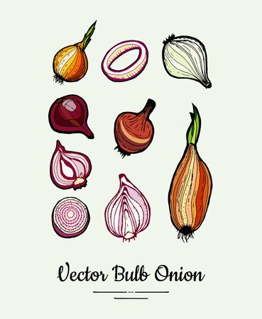 Golden red bulb onion hand drawn vector illustration set. Modern line vegetable onion halves cutted rings illustration.のイラスト素材