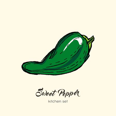 Green pepper vector isolate. Hand drawn illustration sweet bulgarian bell paprika capsicum chili hot pepper.のイラスト素材