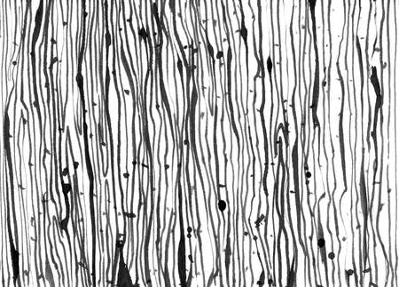 Strokes dots ink texture background. Vintage black and white illustration strokes. Geometric abstract decorative pattern. Grunge ink drawing, modern paper art black texture mockup on white backdrop.の写真素材