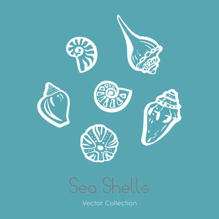 Fossil ammonia nautilus seashell icon set. Isolated design of seashells, ancient ammonia fossil icon, card. Hand drawn illustration spa salon, seafood cafe, restaurant, corporate identity.のイラスト素材