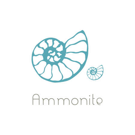 Fossil ammonite nautilus seashell icon. Hand drawn illustration for spa salon, seafood cafe, restaurant, corporate identity.のイラスト素材