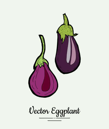 Eggplant vegetable groceries vintage vector set. Hand drawn isolated fresh aubergine. Food line hand drawn illustration. Eggplant vegetarian poster, restaurant menu, logo, icon, sticker, farm shop.のイラスト素材